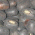 Finds unusual words. User should provide word list of usual words.